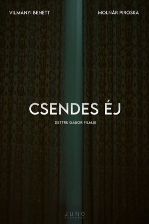 Csendes éj's poster