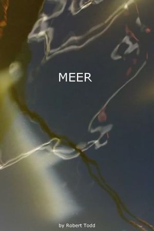 Meer's poster