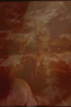 The Act of Seeing with One's Own Eyes's poster