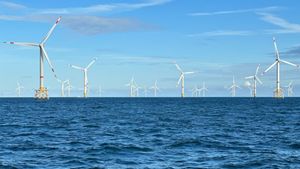 Windparks im Meer - Chance oder Risiko für die Natur?'s poster