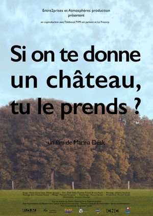 Si on te donne un château, tu le prends?'s poster