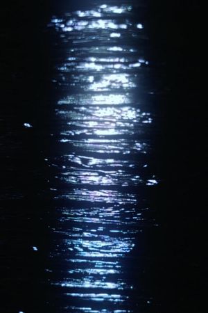 December Lights's poster