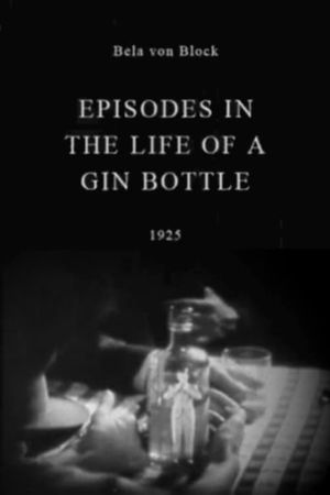 Episodes in the Life of a Gin Bottle's poster