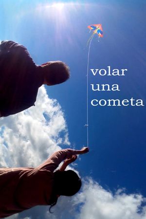 flying a kite's poster
