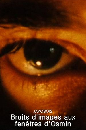 Image Noise (Osmin's Windows)'s poster