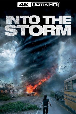 Into the Storm's poster