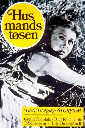 Husmandstøsen's poster