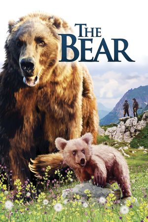 The Bear's poster