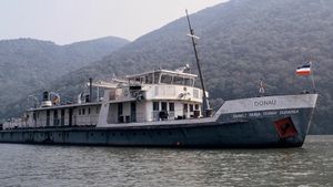 The Danube's poster