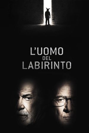 Into the Labyrinth's poster