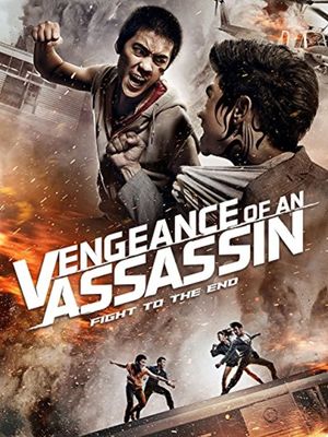Vengeance of an Assassin's poster