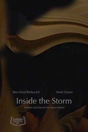 Inside the Storm's poster image