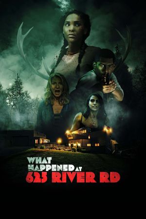 What Happened at 625 River Road?'s poster