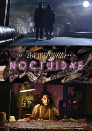 Noctuidae's poster