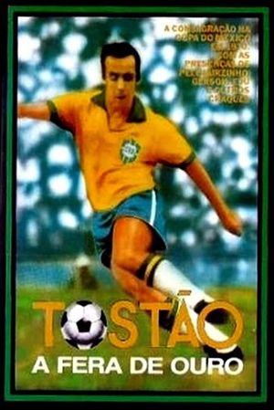 Tostao: The King of Football's poster image
