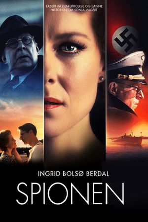 The Spy's poster