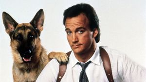 K-9's poster