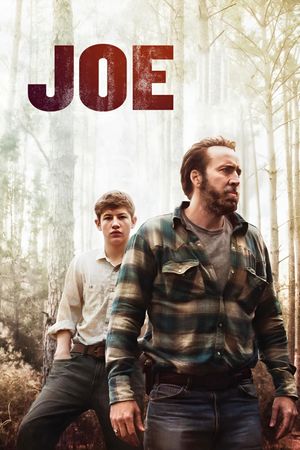 Joe's poster
