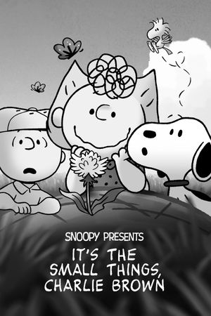 Snoopy Presents: It's the Small Things, Charlie Brown's poster