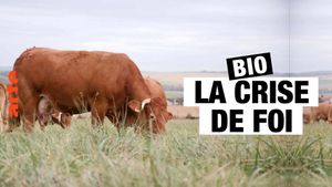 Bio La Crise De Foi's poster