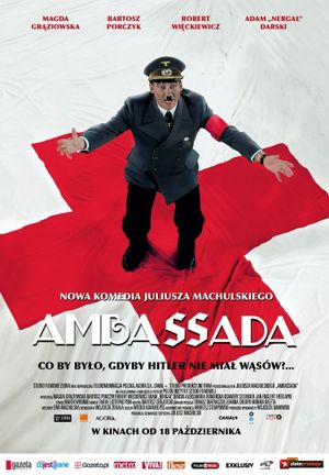 Ambassada's poster