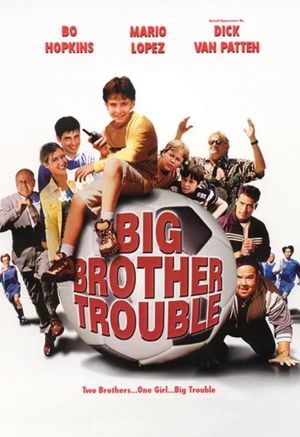 Big Brother Trouble's poster