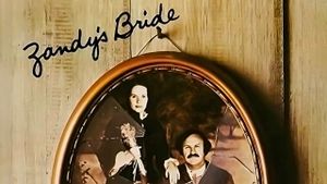 Zandy's Bride's poster