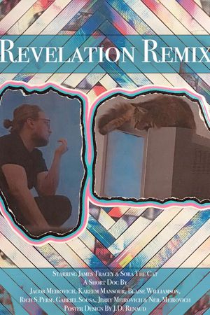 Revelation Remix's poster