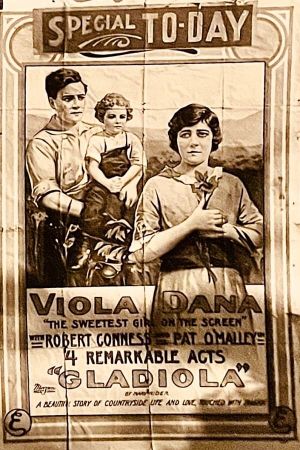 Gladiola's poster