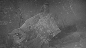 The Woman on the Beach's poster