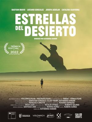 Desert Lights's poster