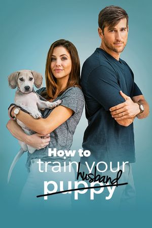 How to Train Your Husband or (How to Pick Your Second Husband First)'s poster
