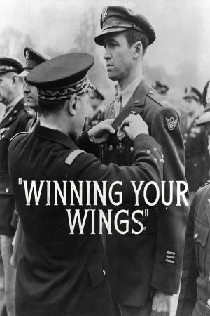 Winning Your Wings's poster image
