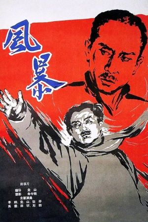 The Storm's poster