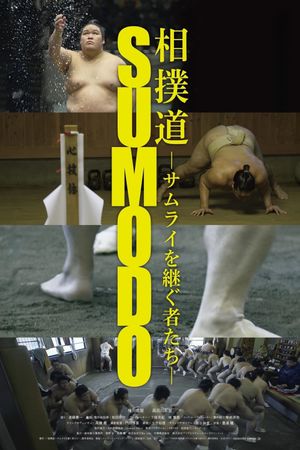 Sumôdô: Samurai o tsugumono-tachi's poster