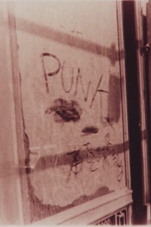 PUNK's poster image