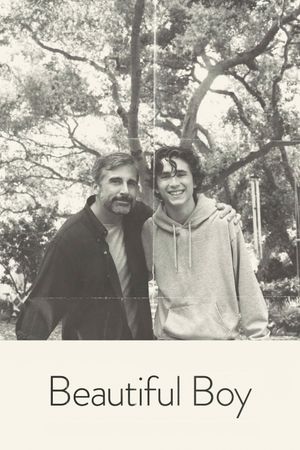 Beautiful Boy's poster