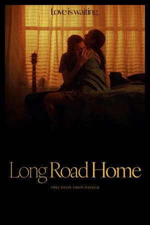 Long Road Home's poster