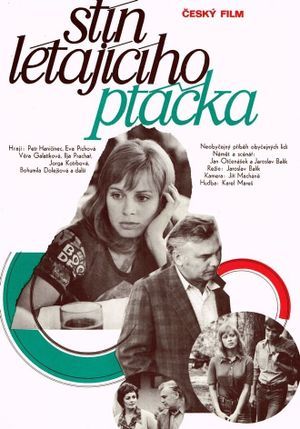 Stín létajícího ptácka's poster