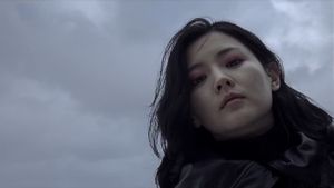 Lady Vengeance's poster