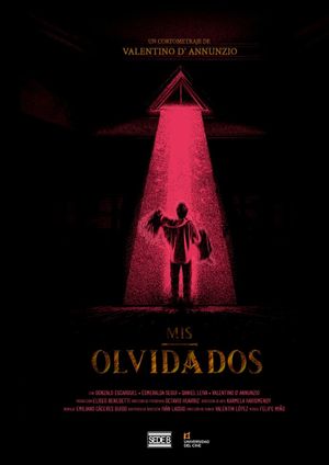 Mis Olvidados's poster