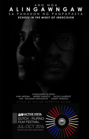 Echoes in the Midst of Indecision's poster