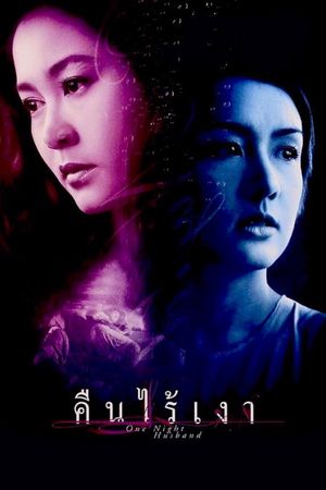 One Night Husband's poster