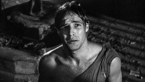 A Streetcar Named Desire's poster