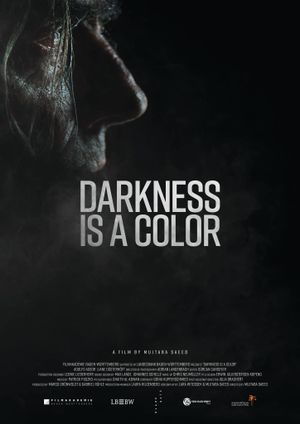 The Darkness Is A Color's poster