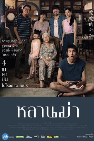 How to Make Millions Before Grandma Dies's poster