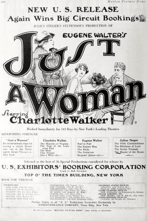 Just a Woman's poster