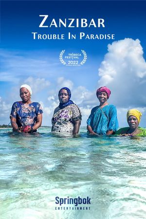 Zanzibar: Trouble in Paradise's poster