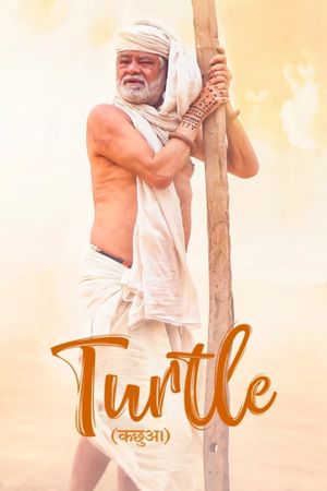 Turtle's poster