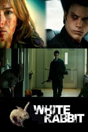 White Rabbit's poster